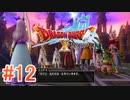 ※ﾈﾀﾊﾞﾚ有り【ドラゴンクエストX ｵﾝﾗｲﾝ】ver3.5後期を実況プレイpart12
