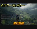 ホグワーツレガシー　飛行訓練　ストーリー攻略　＃３６　【Hogwarts Legacy】