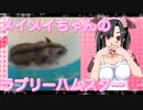 メイメイのハムスターの日常。19