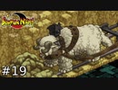 止めろ！マーン家長兄暗殺計画！！【SUMMON NIGHT】#19