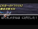 【天空へのドラクエ5】徹底攻略_30