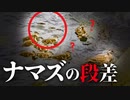 0608C④【カルガモ親子】雛が魚に捕食された場所。何も知らないヒナと鯰の道を選ぶ母。因縁の段差上り【野鳥撮影の日記と観察、解説】#カルガモ親子　#鴨 　#身近な生き物語