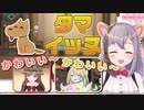 取ったタマを鑑賞するシナモンハム女子会