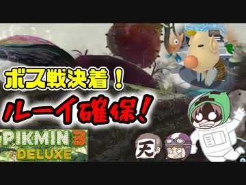 ピクミン3デラックス　＃30