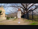 【みのひ】スイートマジック 踊ってみた