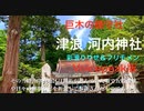 Voicepeak【彩澄りりせと行く神社巡り１】 中国山地 安芸太田町「津浪・河内神社」と巨樹のある社叢　