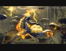 (PS4版)降臨する対の雷神(MHRISEプレイ動画15)