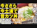 【モール505とかつ丼と】土浦に行ってきました【CeVIO旅行/ささらのまんぞく】