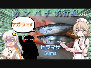 【VOICEROIDフィッシング】カンパチ釣行記（ハガツオ）