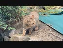 寒さが和らいだらさっそく…