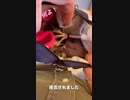 【 #フクロモモンガ 】動物病院のざわざわが苦手なの！ #おはモモンガ #蜜袋鼯 #슈가글라이더 #フクモモ #sugerglider #モモンガ #shorts