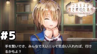 【ヘブバン：コスモスが咲き続けた場所】まさかそんな簡単に元の世界に戻れるわけないよな... #５