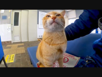 猫島に渡るフェリー乗り場待合室が楽し過ぎる