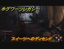 ホグワーツレガシー　スイーツへのディセンド　ストーリー攻略　＃４７　【Hogwarts Legacy】