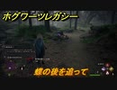 ホグワーツレガシー　蝶の後を追って　ストーリー攻略　＃４８　【Hogwarts Legacy】