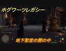 ホグワーツレガシー　地下聖堂の闇の中　ストーリー攻略　＃５１　【Hogwarts Legacy】
