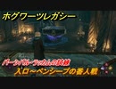 ホグワーツレガシー　パーシバル・ラッカムの試練　入口～ペンシープの番人戦　ストーリー攻略　＃５４　【Hogwarts Legacy】