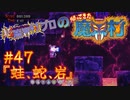 超魔界村プロの【帰ってきた魔界村】実況#47『蛙、蛇、岩』