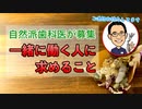【自然派歯科医が募集】一緒に働く人に求めること #高橋浩司 #歯科医