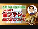 【自然派歯科医が解説】おすすめの歯ブラシの選び方 #高橋浩司 #歯科医