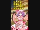 稲葉紀通（レミリア）の無茶なしくじり