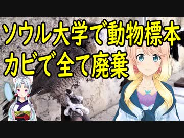 【韓国の反応】韓国のソウル大学が80年かけて集めた動物標本、カビで全て廃棄されていた事が判明。【世界の〇〇にゅーす】