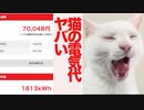 猫関連の電気代、えぐいことになる