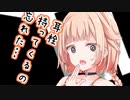 【ソフトウェアトーク劇場】ガンルームトーク一式七号三型【さとうささら・OИE】