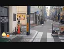 【ツイキャス】横山緑 「ライブ #759873558」（2023/2/20）