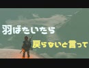 大地を羽ばたく鳥に飛び込んでみた　Part 17【ゼルダの伝説ブレスオブザワイルド】