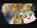 サーフフィッシングを始めたいずんだもん【VOICEROIDフィッシング】