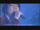 朴孝信 - 雪の華