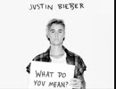what do you mean?/justin bieber