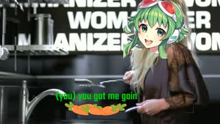 Womanizer (GUMI v3 ENGLISH カバー)