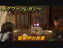 ホグワーツレガシー　動物学の授業　ストーリー攻略　＃６０　【Hogwarts Legacy】