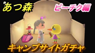 あつ森　ピーチク編　キャンプサイトガチャ　好きな住民を探しに行こう！　【あつまれどうぶつの森】