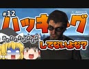 【#12】ゆっくり実況でアサシンクリード4 ブラックフラッグ【挨拶で君の心をハッキング】