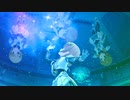 【デレステMAD】Beautiful Morning