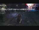 2023年02月21日 【Ps5】大仏さん家に来てまでブラッドボーン(Lv340363058) 大ちゃんマン(大司教) 監獄放送ex(Co5651080) 001