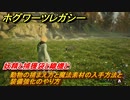 ホグワーツレガシー　妖精と捕獲袋と織機と　動物の捕まえ方と魔法素材の入手方法と装備強化のやり方　ストーリー攻略　＃７１　【Hogwarts Legacy】