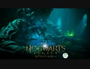 【Hogwarts Legacy】ファンボが行くホグワーツレガシー　#8-1 おしゃれな涙の演出