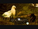 【Hogwarts Legacy】ファンボが行くホグワーツレガシー　#8-2　ヒッポグリフに合えました