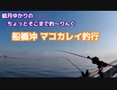 ちょっとそこまで釣～りんぐ「船橋沖のマコカレイ釣行」【結月ゆかり車載】