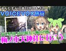 【VOICEVOX旅行】ずんだもん、春日部つむぎの埼玉県川口市の隠れた梅の名所　梅ノ木天神社に行こう