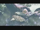 (PS4版)その古龍霞に消ゆ(MHRISEプレイ動画16)