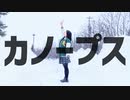 【おもち】カノープス 踊ってみた【オリジナル振付】【誕生日】