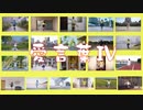 【中國ファンx人】愛言葉Ⅳ【2023七河みこ生誕】