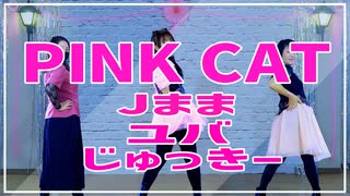 母たちが故障覚悟で【PINK CAT】踊ってみました！【JYJ50】