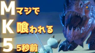 【救助】メラルーを捕食しようとするアンジャナフをぶっ倒します【モンスターハンターライズ】