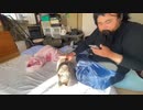 2023年02月21日 もばさんぽ(Lv340365187) 藪。 藪の中(Co5352034) 001